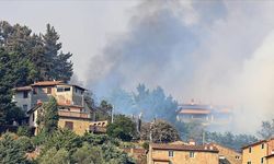 İtalya'nın güney bölgelerinde etkili olan orman yangınları nedeniyle 4 kişi öldü